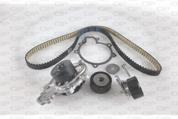 Water Pump & Timing Belt Kit (WTBK5128.00)