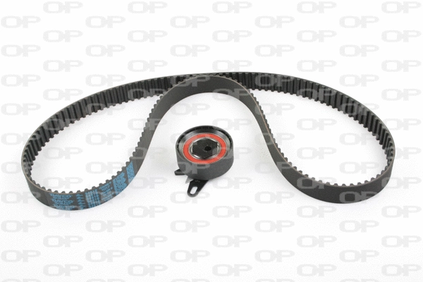 Timing Belt Kit (TBK5079.01)