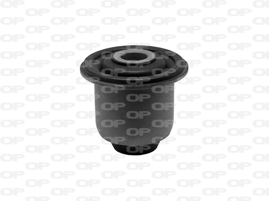 Mounting, control/trailing arm (SSS1197.11)