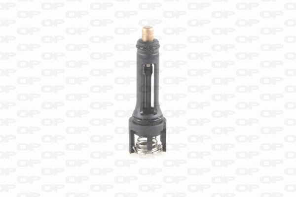 Thermostat, coolant (TRM1176.00)