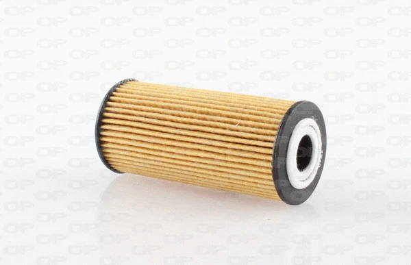 Oil Filter (EOF4234.20)