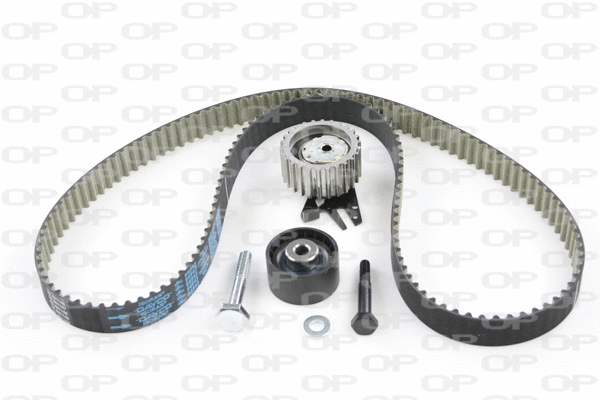 Timing Belt Kit (TBK5039.11)