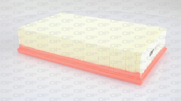 Air Filter (EAF3211.10)