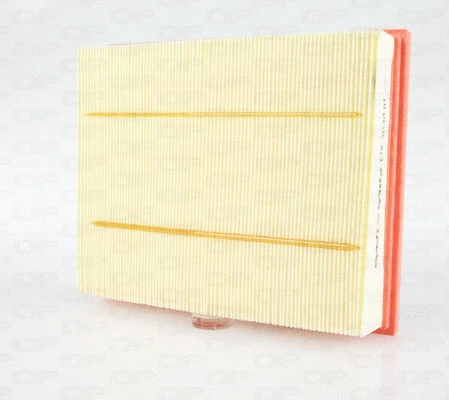 Air Filter (EAF3638.10)