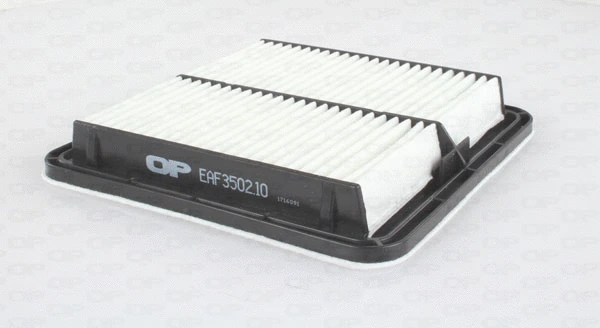 Air Filter (EAF3502.10)