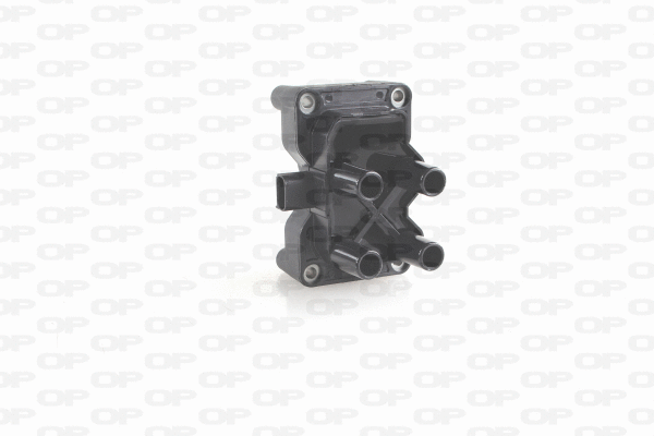 Ignition Coil (IGN1011.00)