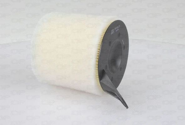 Air Filter (EAF3406.20)