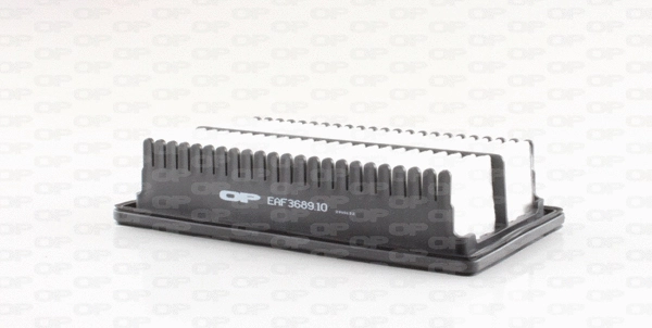 Air Filter (EAF3689.10)
