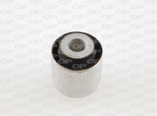 Mounting, control/trailing arm (SSS1153.11)