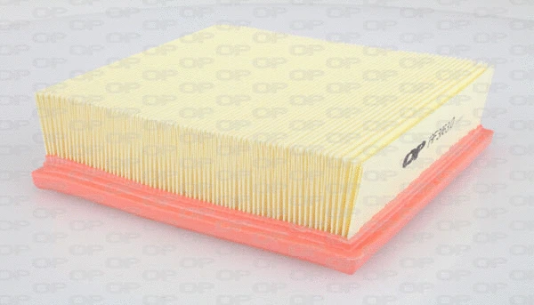 Air Filter (EAF3063.10)