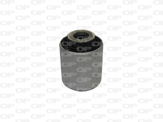 Mounting, control/trailing arm (SSS1164.11)