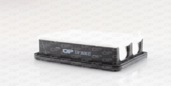 Air Filter (EAF3686.10)