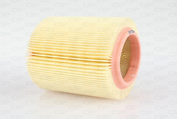 Air Filter (EAF3576.20)