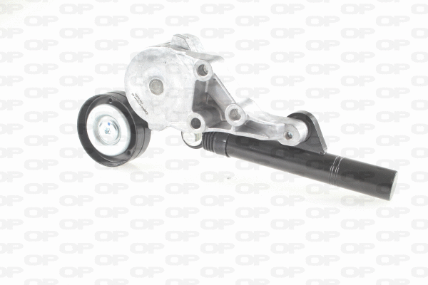 Belt Tensioner, V-ribbed belt (ACT2161.00)
