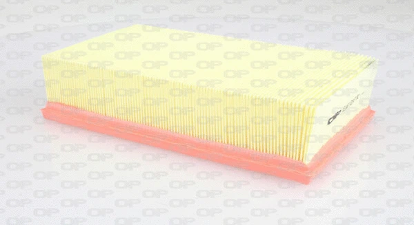 Air Filter (EAF3297.10)