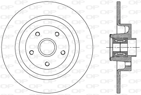 Brake Disc (BDA2507.30)