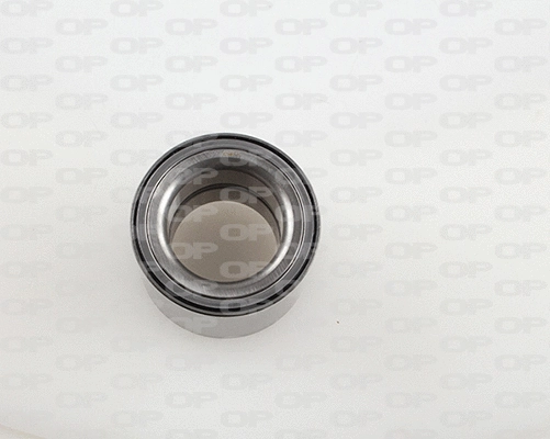Wheel Bearing Kit (HBK5033.01)