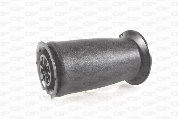 Air Spring, suspension (ASP4005.00)