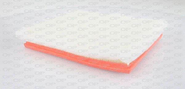 Air Filter (EAF3048.10)