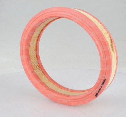 Air Filter (EAF3004.20)