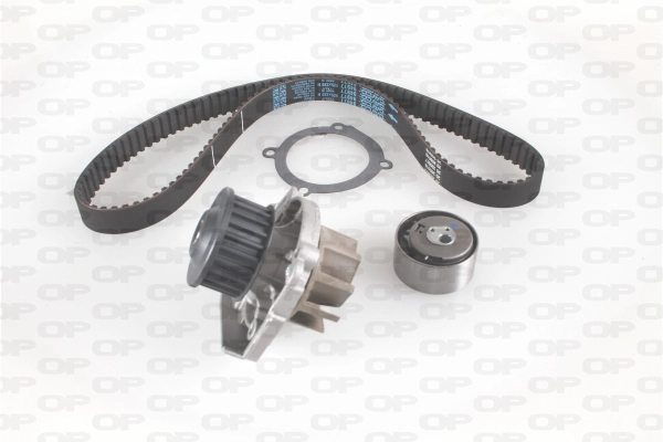 Water Pump & Timing Belt Kit (WTBK5058.00)