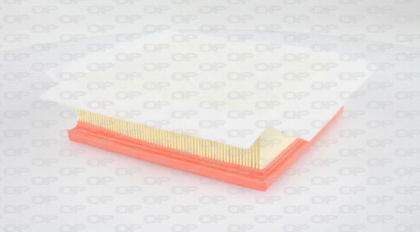 Air Filter (EAF3072.10)