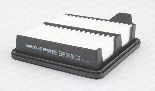 Air Filter (EAF3487.10)
