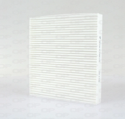 Filter, cabin air (CAF2166.01)