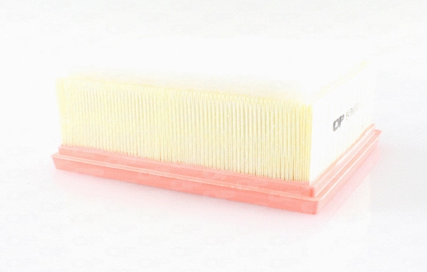 Air Filter (EAF3665.10)