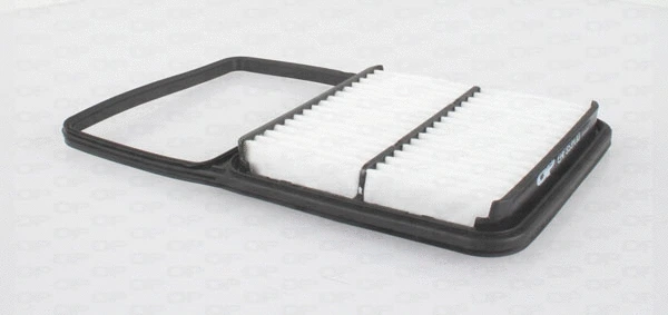 Air Filter (EAF3534.10)
