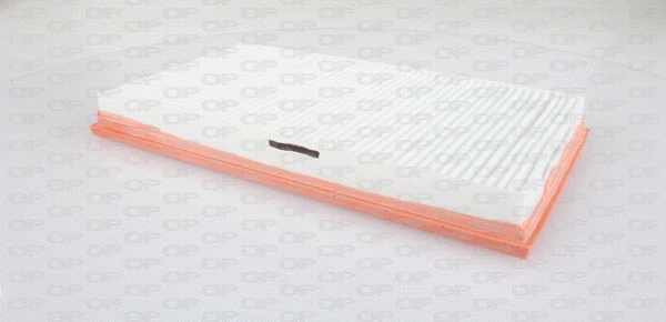 Air Filter (EAF3280.10)
