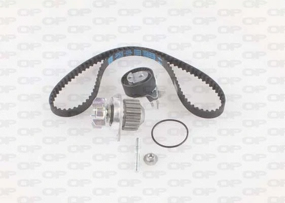 Water Pump & Timing Belt Kit (WTBK5006.00)