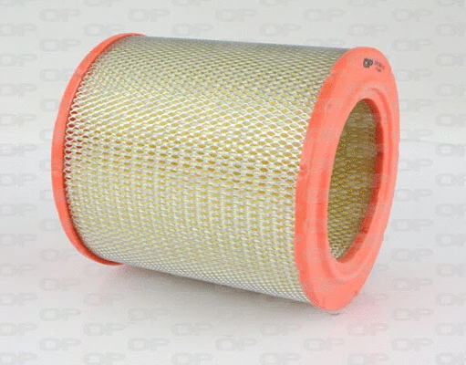 Air Filter (EAF3084.20)