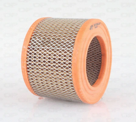 Air Filter (EAF3568.20)