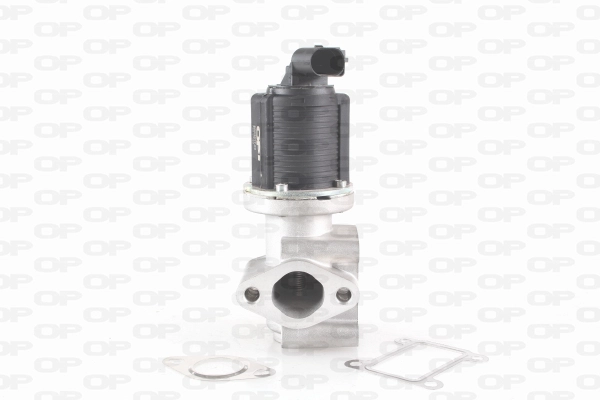 EGR Valve (EGR3017.00)