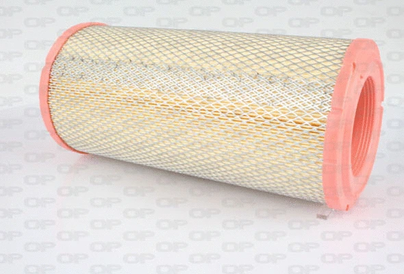 Air Filter (EAF3023.20)
