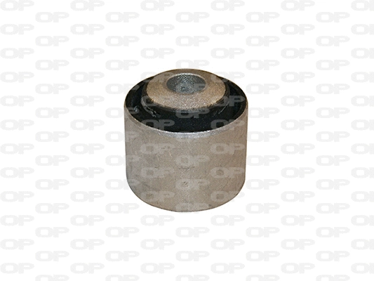 Mounting, control/trailing arm (SSS1189.11)