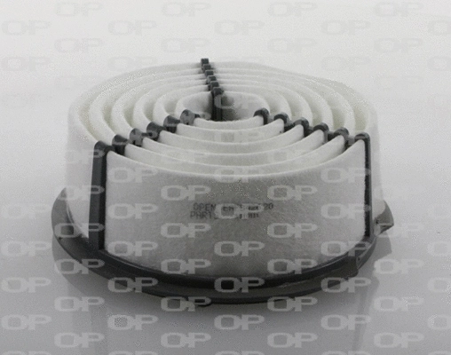 Air Filter (EAF3426.20)