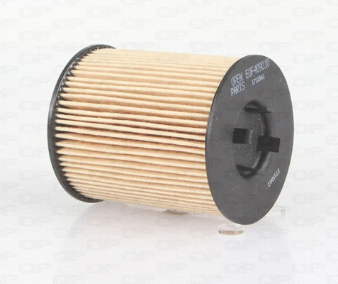 Oil Filter (EOF4090.10)