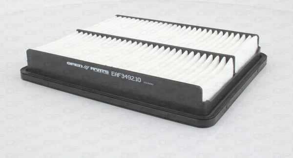 Air Filter (EAF3492.10)