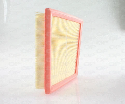 Air Filter (EAF3646.10)