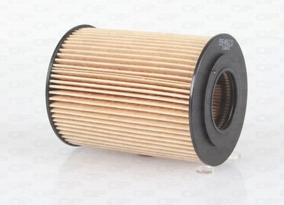 Oil Filter (EOF4062.10)