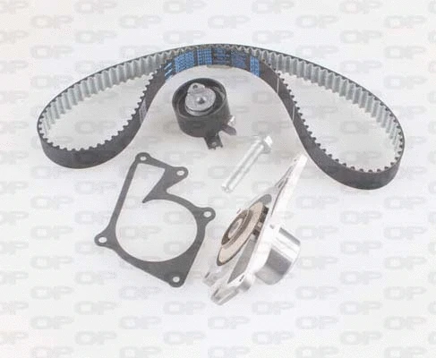 Water Pump & Timing Belt Kit (WTBK5066.00)