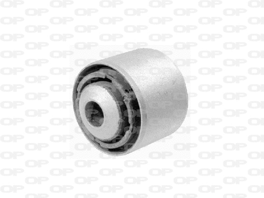 Mounting, control/trailing arm (SSS1160.11)
