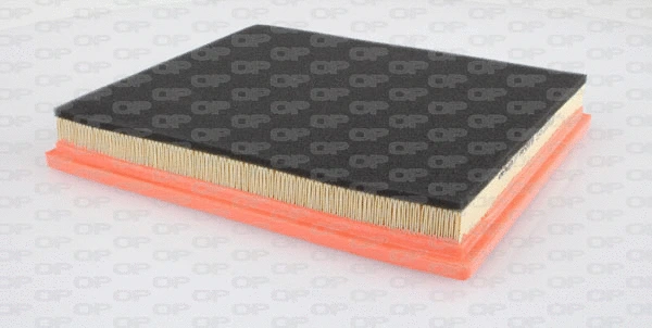 Air Filter (EAF3169.10)