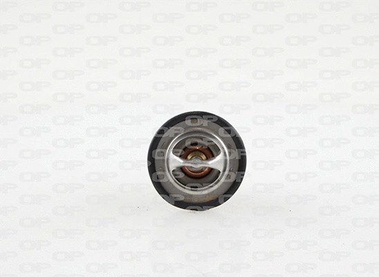 Thermostat, coolant (TRM1148.00)