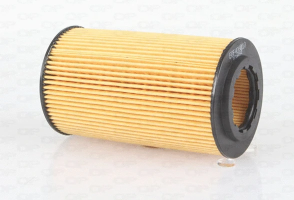 Oil Filter (EOF4060.10)
