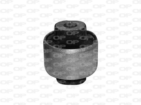 Mounting, control/trailing arm (SSS1201.11)