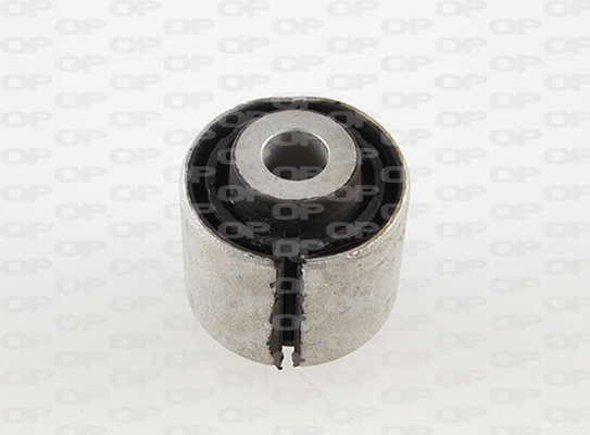 Mounting, control/trailing arm (SSS1141.11)
