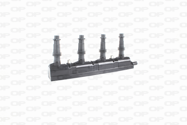 Ignition Coil (IGN1013.00)